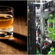 Illustration for article titled Moonshine producer Ole Smoky battles PepsiCo over the term “em/emmountain dew”em/em